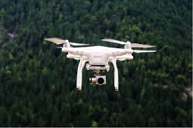 Environmental Monitoring: Drones in Wildlife Conservation